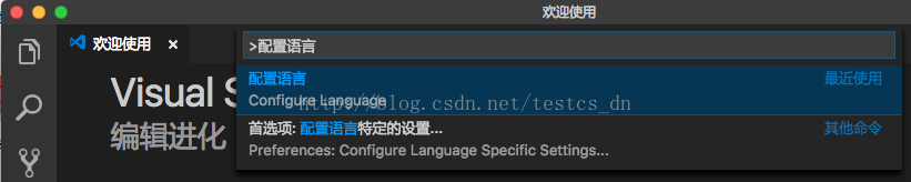 Visual Studio Code（VSCODE）语言设置为中文